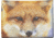 Leather Collections Trifold Wallet, Animal Eyes, Black w/Fox Eyes, EYES16-FOX