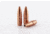 Lehigh Defense .224 Caliber 55 Grain Controlled Chaos Centerfire Rifle Bullets, 50 Rounds, 05224055CuSP