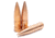 Lehigh Defense Rifle Bullets, .264 Caliber, 110 Grain, Match Solid, 50 Bullets, 04264110SP-264CAL