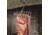 LEM Products Bacon Hanger, Stainless, 1134