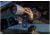 Leupold 183550 Tripod Pan Head Black