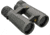 Leupold BX-5 Santiam HD 8x42mm Roof Prism Binoculars, Gray, 174481