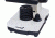 Levenhuk 2L NG Microscope, White, Medium 24616