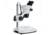 Levenhuk 7-45x ZOOM 1B Binocular Microscope, White, Middle, 76056