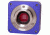 Levenhuk T130 PLUS Telescope Digital Camera, Violet, Small, 70360