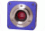 Levenhuk T300 PLUS Telescope Digital Camera, Violet, Small, 70361