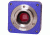 Levenhuk T500 PLUS Telescope Digital Camera, Violet, Small, 70362