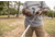 Lews Accel Casting Fishing Rod