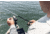 Lews Accel Spinning Fishing Rod