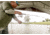 Lew's Wally Marshall Speed Shooter 100 6 ft Spinning Combo, Medium Light, 11-18905