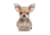 Lifelike Pillows Custom Dog Shaped Pillow, Chihuahua, Fawn, 16 inch Tall/4 inch Thick, DOG6-SH-16