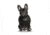 Lifelike Pillows Custom Dog Shaped Pillow, French Bulldog, Black, 16 inch Tall/4 inch Thick, DOG11-SH-16