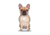 Lifelike Pillows Custom Dog Shaped Pillow, French Bulldog, Fawn, 16 inch Tall/4 inch Thick, DOG12-SH-16