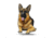 Lifelike Pillows Custom Dog Shaped Pillow, German Shepherd, 16 inch Tall/4 inch Thick, DOG13-SH-16