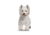 Lifelike Pillows Custom Dog Shaped Pillow, Highland Terrier, 16 inch Tall/4 inch Thick, DOG15-SH-16