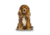 Lifelike Pillows Custom Dog Shaped Pillow, King Charles, Brown, 16 inch Tall/4 inch Thick, DOG19-SH-16