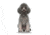 Lifelike Pillows Custom Dog Shaped Pillow, Poodle, Gray, 16 inch Tall/4 inch Thick, DOG23-SH-16