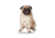 Lifelike Pillows Custom Dog Shaped Pillow, Pug, Fawn, 16 inch Tall/4 inch Thick, DOG25-SH-16