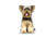 Lifelike Pillows Custom Dog Shaped Pillow, Yorkie, 16 inch Tall/4 inch Thick, DOG28-SH-16