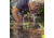 LifeStraw Personal Water Filter, American Red Cross, LSPHF035
