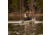Lifetime Products Kenai Pro Angler 100 Fishing Kayak w/Paddle, Moss Fusion, 91149
