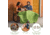 Lifetime Products Convertible Bench