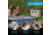 Lifetime Products Glacier, 28 Quart, Hard Cooler