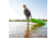 Lifetime Products Wave 60 Sit-On-Top Youth Kayak w/Paddle