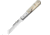 Lionsteel Barlow Dom Ram's Horn