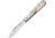 Lionsteel Barlow Roundhead Ram