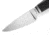 Lionsteel Willy Fixed Blade Knife, 3.1in, M390 Steel, Drop Point, Carbon Fiber/Ti Handle, Carbon Fiber, WL1 CF