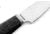 Lionsteel Willy Fixed Blade Knife, 3.1in, M390 Steel, Drop Point, Carbon Fiber/Ti Handle, Carbon Fiber, WL1 CF