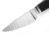 Lionsteel Willy Fixed Blade Knife, 3.1in, M390 Steel, Drop Point, G10/Ti Handle, Black, WL1 GBK
