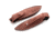 Lionsteel Willy Fixed Blade Knife, 3.1in, M390 Steel, Drop Point, G10/Ti Handle, Black, WL1 GBK