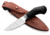 Lionsteel Willy Fixed Blade Knife, 3.1in, M390 Steel, Drop Point, G10/Ti Handle, Black, WL1 GBK