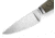 Lionsteel Willy Fixed Blade Knife, 3.1in, M390 Steel, Drop Point, Micarta/Ti Handle, Green Canvas, WL1 CVG