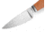 Lionsteel Willy Fixed Blade Knife, 3.1in, M390 Steel, Drop Point, Micarta/Ti Handle, Natural, WL1 CVN