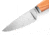 Lionsteel Willy Fixed Blade Knife, 3.1in, M390 Steel, Drop Point, Olive Wood Handle, Olive, WL1 UL