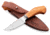 Lionsteel Willy Fixed Blade Knife, 3.1in, M390 Steel, Drop Point, Olive Wood Handle, Olive, WL1 UL