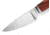 Lionsteel Willy Fixed Blade Knife, 3.1in, M390 Steel, Drop Point, Santos Wood Handle, Santos, WL1 ST