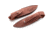 Lionsteel Willy Fixed Blade Knife, 3.1in, M390 Steel, Drop Point, Santos Wood Handle, Santos, WL1 ST