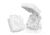 Lippert 381609 Miniature Cable TV Inlet, Furrion, White, FTVINB-PS-OEM