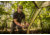 LiteFighter Fido Ai Two Person Shelter System, Multicam Camouflage, 90in x 42in x 56in, AI2100-MUL