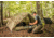 LiteFighter Fido Ai Two Person Shelter System, Multicam Camouflage, 90in x 42in x 56in, AI2100-MUL