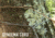 LiteFighter Gear Recondo 1 Jungle Hammock System