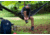 LiteFighter Gear Recondo 1 Jungle Hammock System