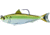 Live Target Blueback Herring Swimbait