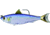 Live Target Blueback Herring Swimbait