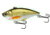 Live Target Golden Shiner Rattlebait