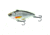 Live Target Livetarget Golden Shiner Lipless Rattlebait, Sinking, Glow/Black, 2 7/8in, 1/2oz, #6 Hook, GS70SK211